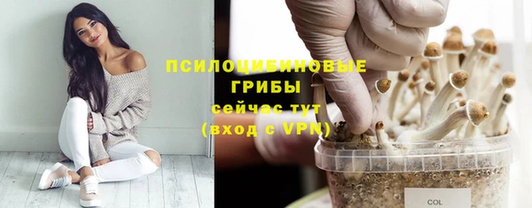 MDMA Premium VHQ Лабытнанги