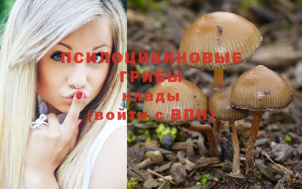 mdpv Лагань