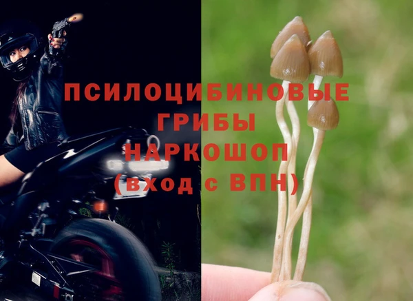 mdpv Лагань