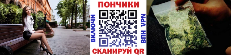 Шишки марихуана ГИДРОПОН Энем